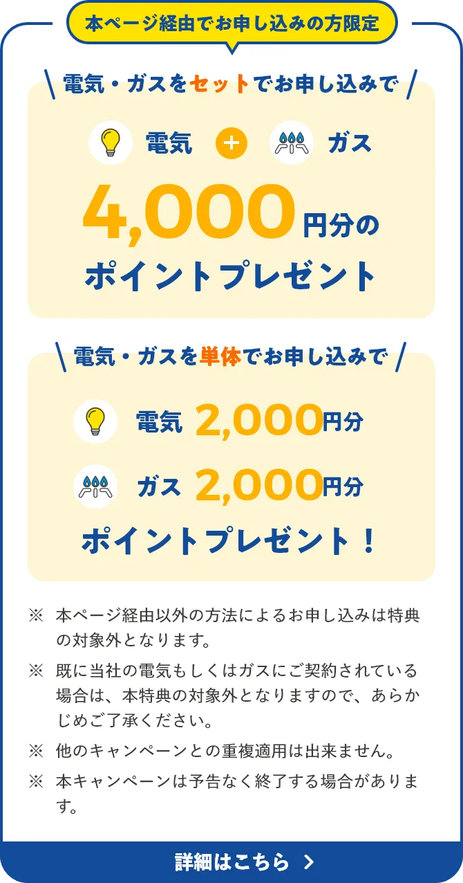 本ページ経由でお申し込みの方限定　電気・ガスをセットでお申し込みで4,000ポイントプレゼント！　電気・ガスを単体でお申し込みで電気2,000円 ガス2,000円ポイントプレゼント！　※本ページ経由以外の方法によるお申し込みは特典の対象外となります。　※既に当社の電気もしくはガスにご契約されている場合は、本特典の対象外となりますので、あらかじめご了承ください。　※他のキャンペーンとの重複適用は出来ません。　※本キャンペーンは予告なく終了する場合があります。