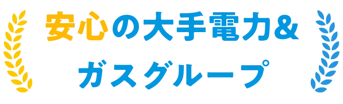 安心の大手電力&ガスグループ