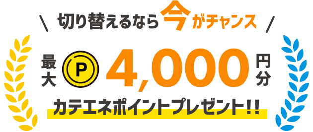 切り替えるなら今がチャンス 最大4,000円分カテエネポイントプレゼント!!