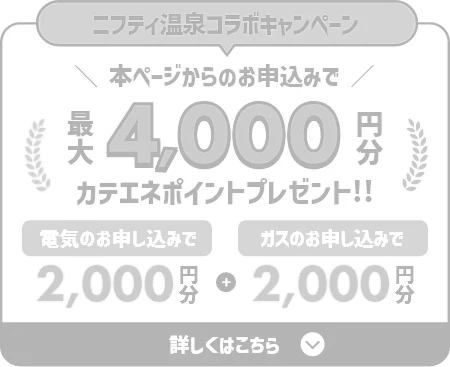 本ページからのお申込み限定で最大4,000円分カテエネポイントプレゼント!! 電気のお申し込みで2,000円分 ガスのお申し込みで2,000円分 エントリーの流れはこちらから