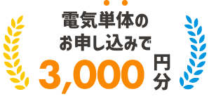 電気単体のお申し込みで 3,000円分のポイント獲得