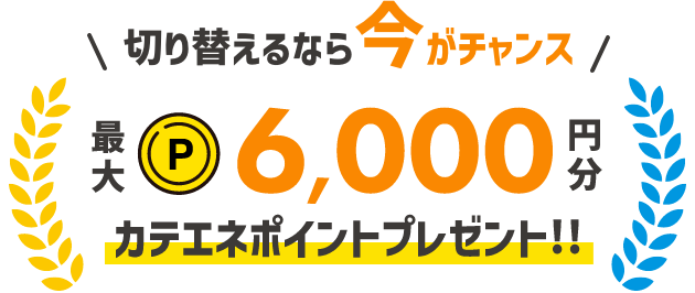 切り替えるなら今がチャンス 最大6,000円分カテエネポイントプレゼント!!