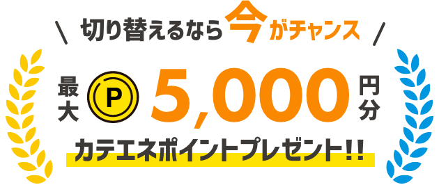 切り替えるなら今がチャンス 最大5,000円分カテエネポイントプレゼント!!