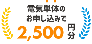 電気単体のお申し込みで 2,500円分のポイント獲得