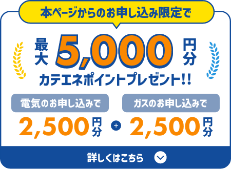 本ページからのお申し込み限定で　最大6,000円分カテエネポイントプレゼント!!　電気のお申し込みで3,000円分　ガスのお申し込みで3,000円分　エントリーの流れはこちらから