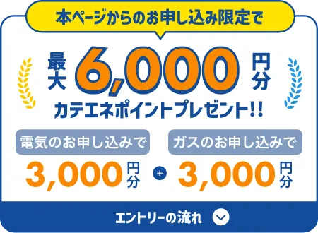 本ページからのお申し込み限定で　最大6,000円分カテエネポイントプレゼント!!　電気のお申し込みで3,000円分　ガスのお申し込みで3,000円分　エントリーの流れはこちらから