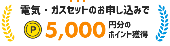 電気・ガスセットのお申し込みで 5,000円分のポイント獲得