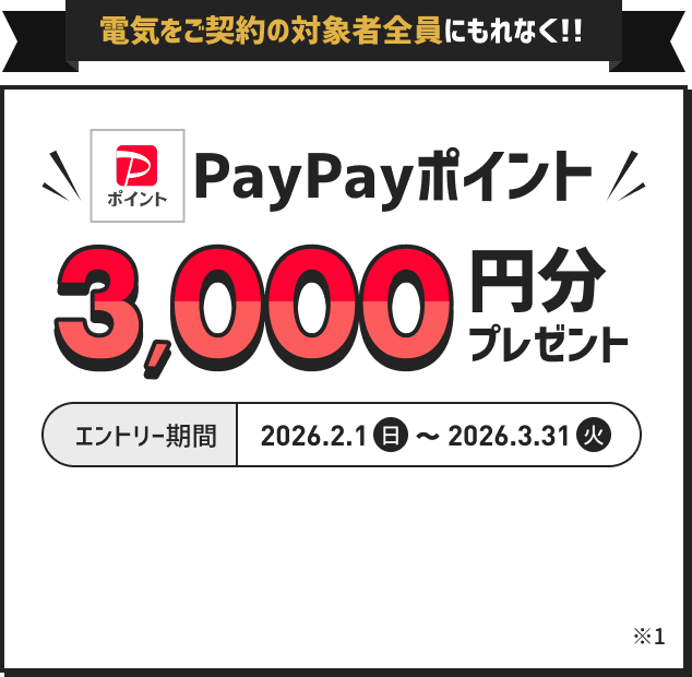 電気をご契約の対象者全員にもれなく PayPayポイント3,000円分プレゼント エントリー期間 2026.2.1(日)～2026.3.31(火) 