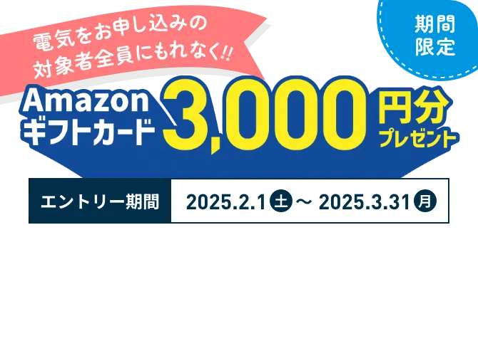 対象者全員にもれなく!! 期間限定 Amazonギフトカード3,000円分プレゼント エントリー期間 2025.2.1土 2025.3.31月