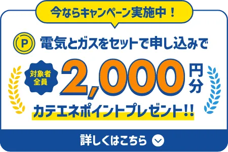 今ならキャンペーン実施中！ 電気とガスをセットで申し込みで対象者全員2,000円分カテエネポイント！！ さらに！酷暑乗り切り支援実施中！10月使用分まで電気・ガス賞金割引 詳しくはこちら