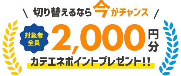 切り替えるなら今がチャンス 対象者全員2,000円分カテエネポイントプレゼント！！