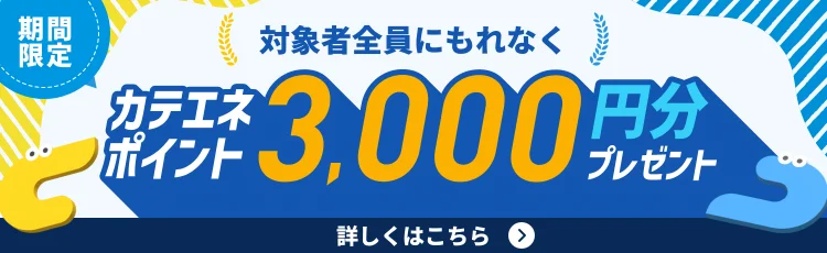 期間限定 対象者全員にもれなくカテエネポイント3,000円分プレゼント 詳しくはこちら