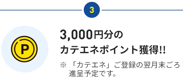 3,000円分のカテエネポイント獲得 ※「カテエネ」ご登録の翌月末ごろ進呈予定です。 